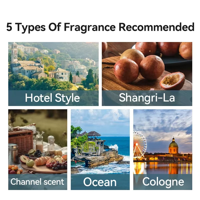 3Pcs Set Essential Oil Set Used to Refill the Essential Oils in the Diffuser Car Diffuser Essential Oil Refill Kit