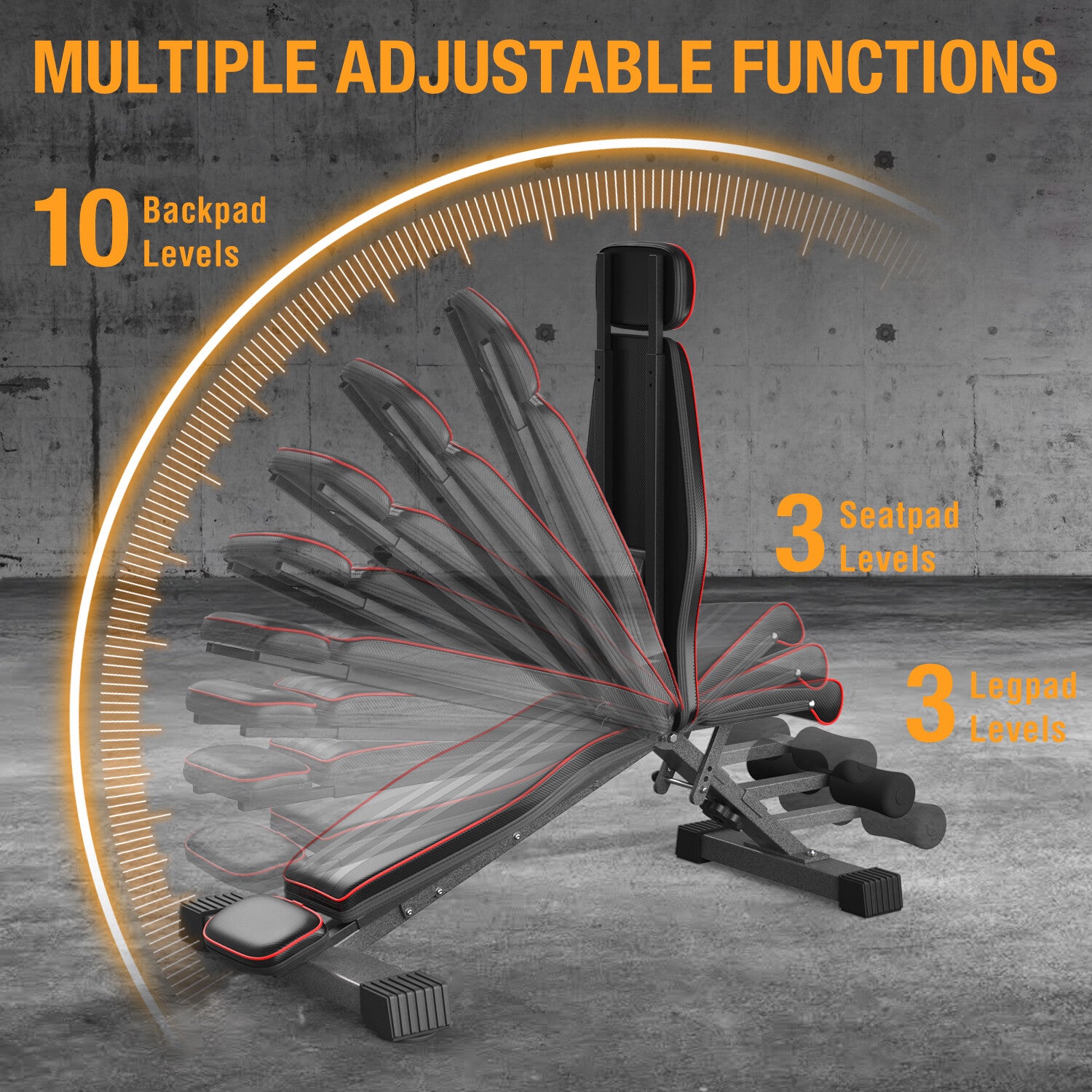 300KG Foldable Adjustable Dumbbell Bench – Heavy-Duty Home Gym Weight Bench (UK)